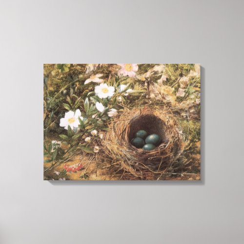 Birds Nest and Dog Roses by John William Hill Canvas Print