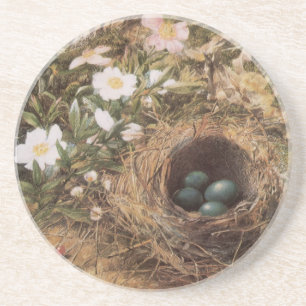 Bird's Nest and Dog Roses by John William Hill Coaster