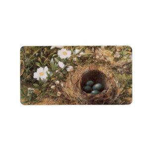 Bird's Nest and Dog Roses by John William Hill Label
