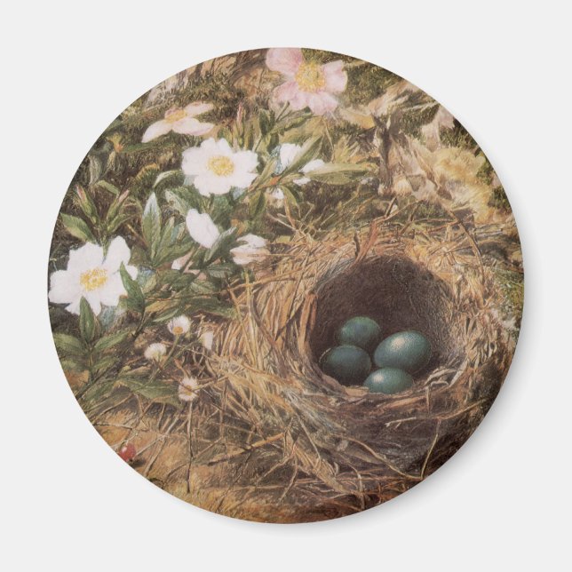 Bird's Nest and Dog Roses by John William Hill Magnet (Front)