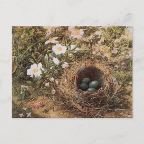 Birds Nest and Dog Roses by John William Hill Postcard