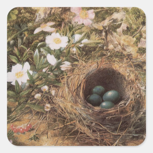 Bird's Nest and Dog Roses by John William Hill Square Sticker (Front)