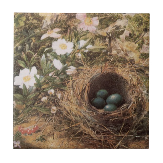 Bird's Nest and Dog Roses by John William Hill Tile (Front)