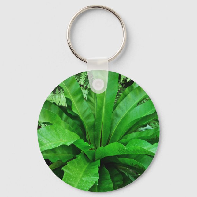 Bird's Nest Fern Keychain (Front)