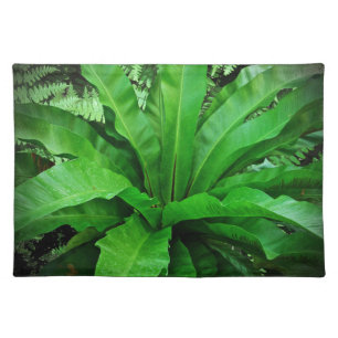 Bird's Nest Fern Placemat