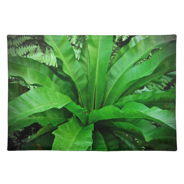Bird's Nest Fern Placemat (Front)