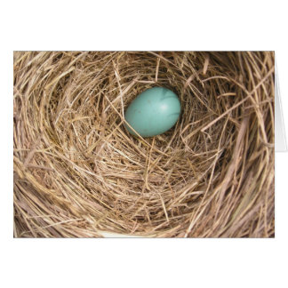 Birds' Nest (West Virginia) Cards