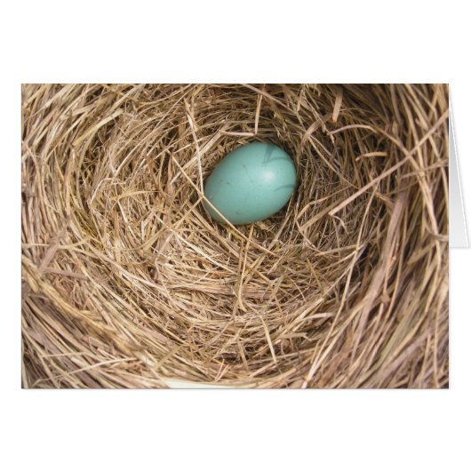 Birds' Nest (West Virginia) Cards (Front Horizontal)
