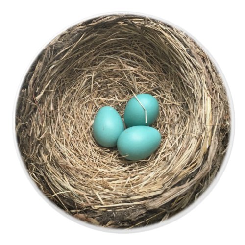 Birds Nest with Blue Eggs Ceramic Knob