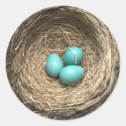 Birds Nest with Blue Eggs Classic Round Sticker