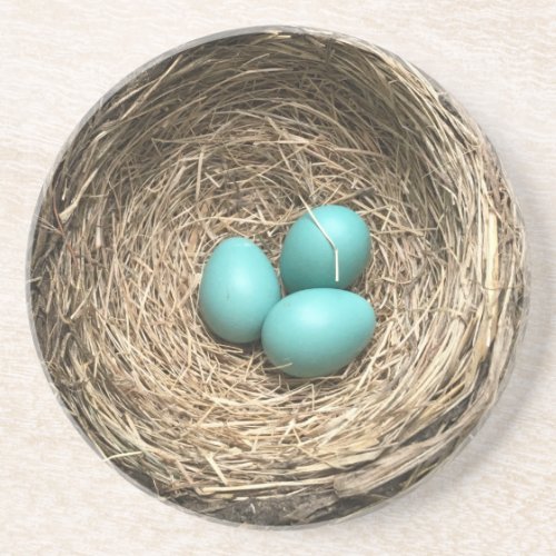 Birds Nest with Blue Eggs Coaster