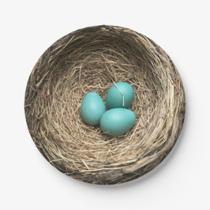 Birds Nest with Blue Eggs Paper Plates