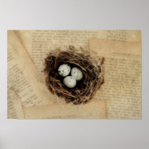 Bird's Nest With Eggs Modern Vintage Easter Poster