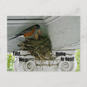 Birds nest with quote about home. postcard