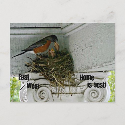Birds nest with quote about home postcard