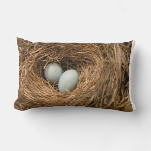 Birds Nest with Robins Eggs Pillow