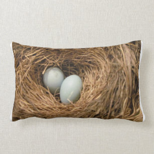 Bird's Nest with Robin's Eggs Pillow