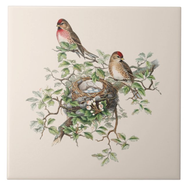Birds Nesting Background Ceramic Tile (Front)