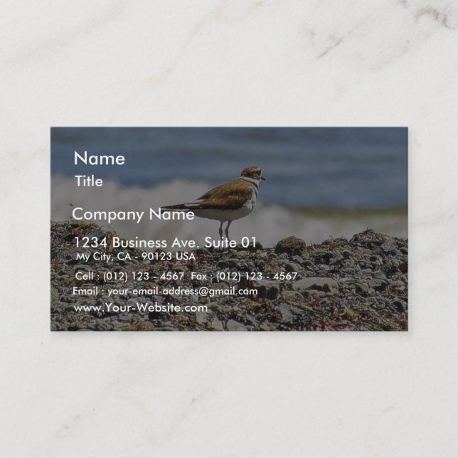 Birds Oceans Beaches Business Card (Front)