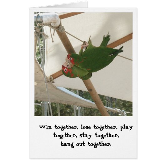Birds of a Feather Cards (Front)