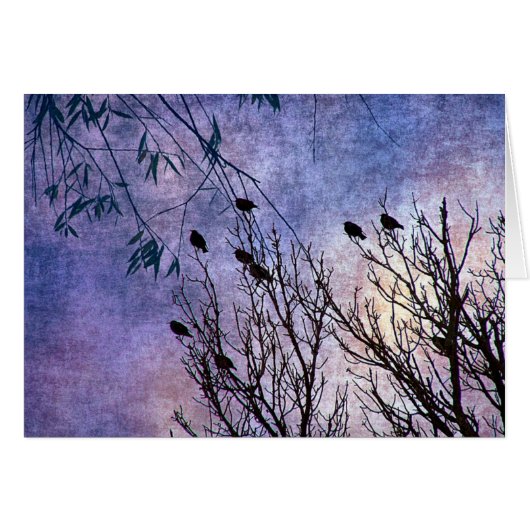 Birds of a Feather Cards (Front Horizontal)