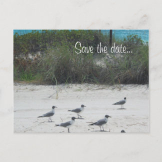 Birds of a feather, flock together.... announcement postcard