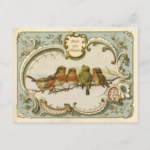 Birds of a Feather Vintage Reproduction Postcard