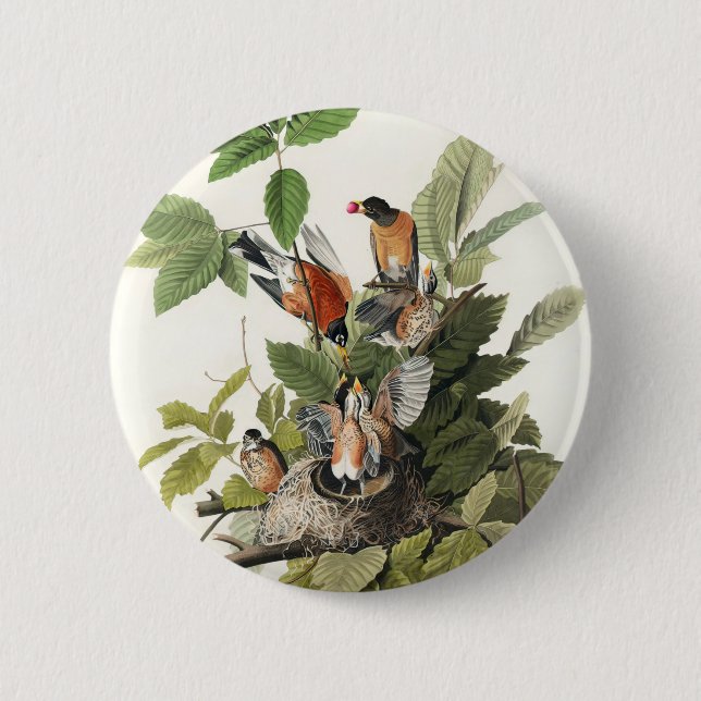 Birds of America (1827) by John James Audubon Button (Front)