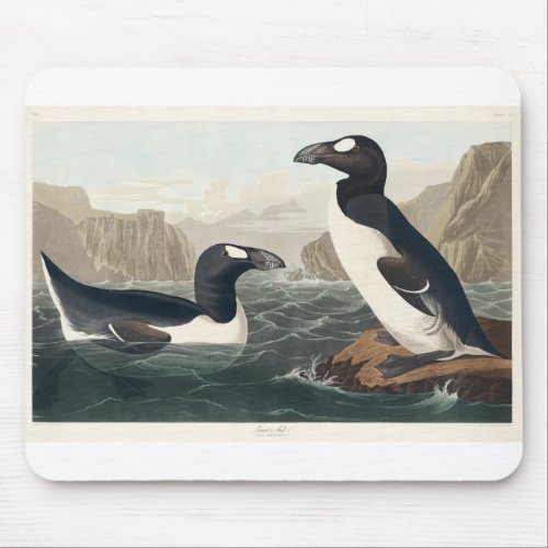 Birds of America 1827 by John James Audubon Mouse Pad
