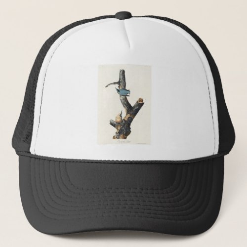 Birds of America 1827 by John James Audubon Trucker Hat