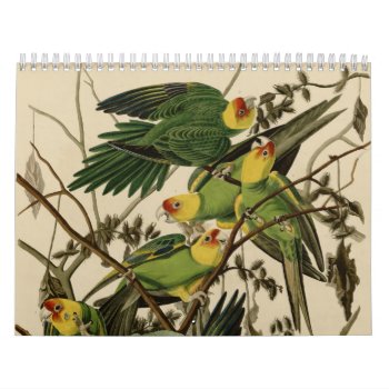 Birds Of America Calendar by birdpictures at Zazzle