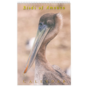 Birds of America Calendar