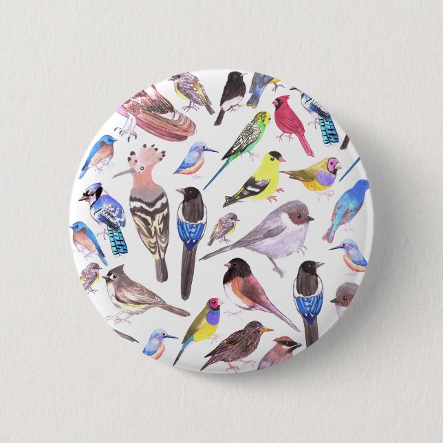 Birds of America- pets and wild birds Button (Front)