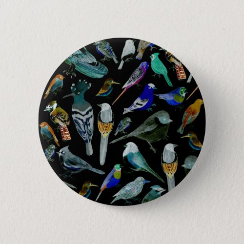 Birds of America_ pets and wild birds Button