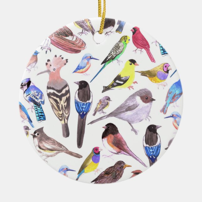 Birds of America- pets and wild birds Ceramic Ornament (Front)