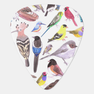 Birds of America- pets and wild birds Guitar Pick