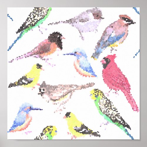 Birds of America_ pets and wild birds mosaic Poster