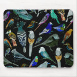 Birds of America- pets and wild birds Mouse Pad