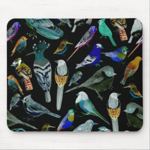 Birds of America- pets and wild birds Mouse Pad