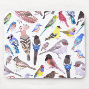 Birds of America- pets and wild birds Mouse Pad