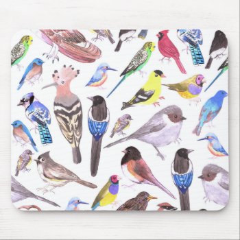 Birds Of America- Pets And Wild Birds Mouse Pad by ShawlinMohd at Zazzle