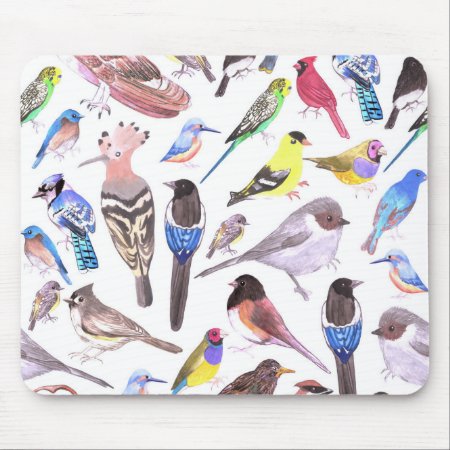 Birds Of America- Pets And Wild Birds Mouse Pad