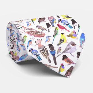 Birds of America- pets and wild birds Neck Tie
