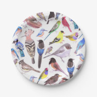 Birds of America- pets and wild birds Paper Plate