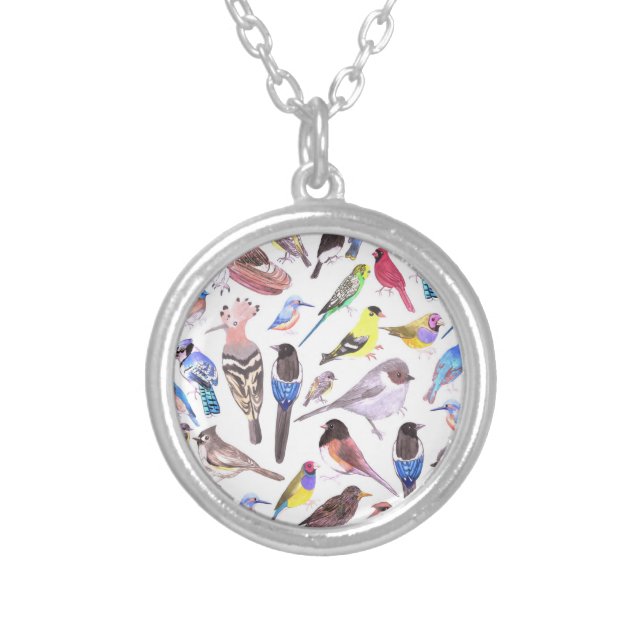 Birds of America- pets and wild birds Silver Plated Necklace (Front)