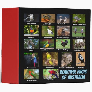 Birds Of Australia 3 Ring Binder by paul68 at Zazzle