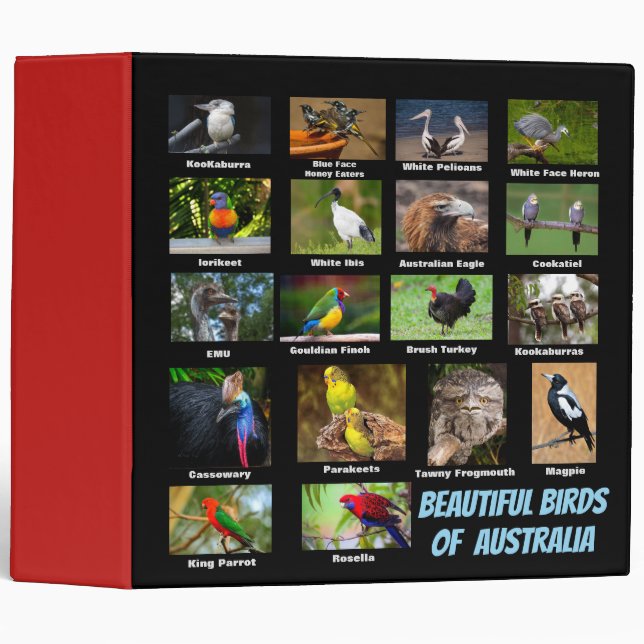 Birds of Australia 3 Ring Binder (Front/Spine)