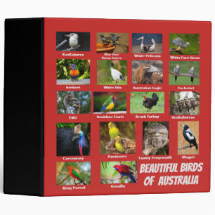 Birds of Australia 3 Ring Binder