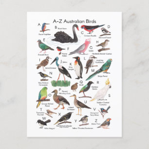 Birds of Australia Postcard
