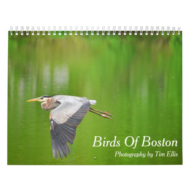 "Birds Of Boston" 2021 Calendar (Cover)